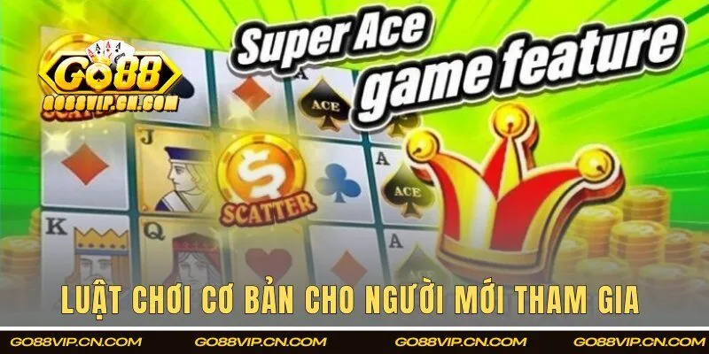 Luật chơi cơ bản cho người mới tham gia