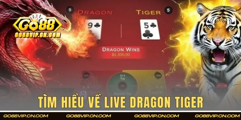 Tìm hiểu về Live Dragon Tiger